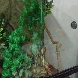 Exo terra terárium + příslušenství - 2