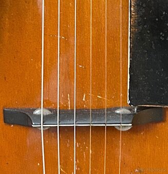 Koupím kobylku na archtop - 2