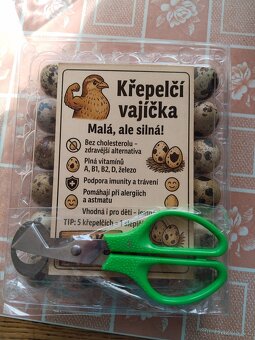 Křepelči vajička - 2