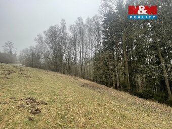 Prodej, les, 33054 m2, Košťálov - 2
