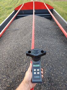 Slunečnice černá - 2