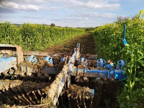 Lemken  Rubin disker - 2