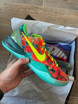 Nike kobe 8 protro what the - 2
