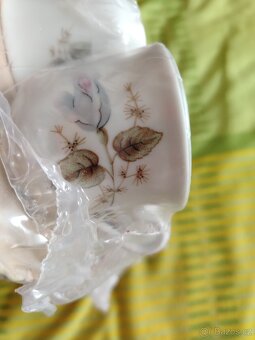 Porcelán karlovarský - 2