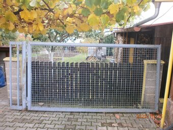 Železná brána, vrata - 2