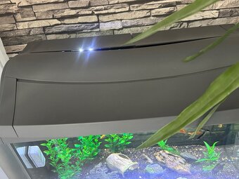 Akvárium Tetra 60l - 2
