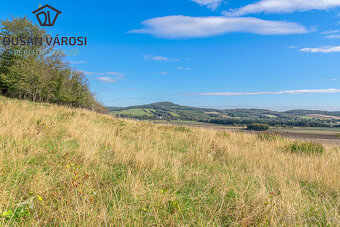 Louka o rozloze 5 743m2 v KÚ Města Albrechtice - 2