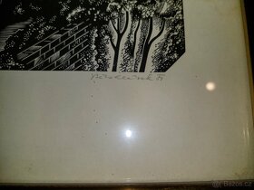 Prodám obraz - linoryt. - 2