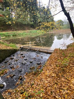 Pronájem pozemku v Semici u písku - 2
