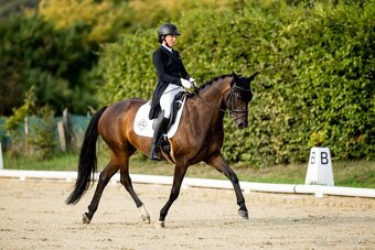 Poradenství v nákupu a prodeji na míru - 2