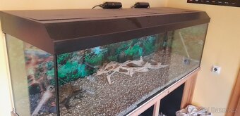 AKVÁRIUM 500 LITRŮ - 2