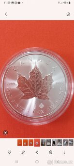 Stříbrné mince 1 oz - 2