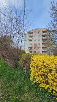 Baráčnická, 1+kk/L, 35m2, po rekonstrukci, vybavený, od 1.7. - 2