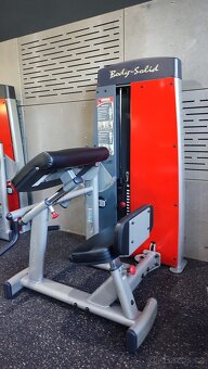 Biceps, triceps, prsa, leg - press - 2