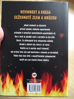 Kniha Žhářka - Stephen King - 2