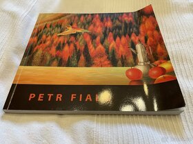 Petr Fiala obrazy a litografie - 2