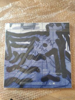 Hugo Toxxx - Buze (žlutý) LP - 2