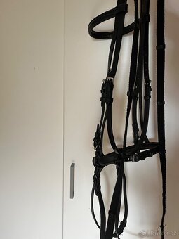 Pony uzdečka - 2