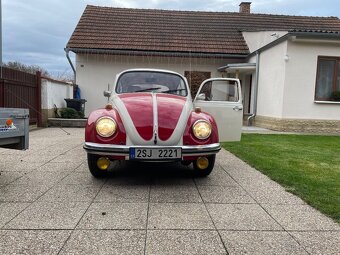 VW Brouk - 2