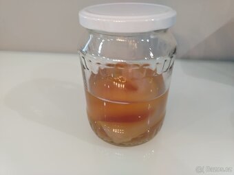 Kombucha (scoby) - 2