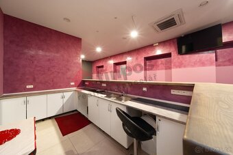 Pronájem komerčních prostor 230m2 Plzeň - 2