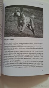 Problémové chování psů - 2