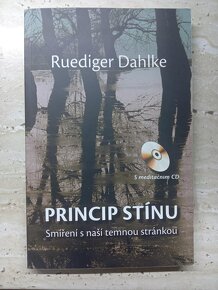 Ženy, které běhaly s vlky, Princip stínu - 2