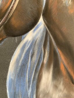 Obraz Portrét koně, pastel - 2
