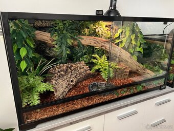 Terárium Repti Planet ( 90 x 45 x 45 cm) + vybavení - 2