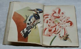 Zahradník Hejduk - 2