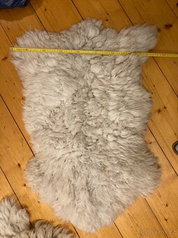Ovčí kožešina z našeho chovu - 2