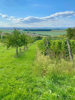 Pozemek s krásným výhledem a chatkou - 2