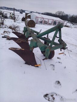 Pluh tříradličný - 2