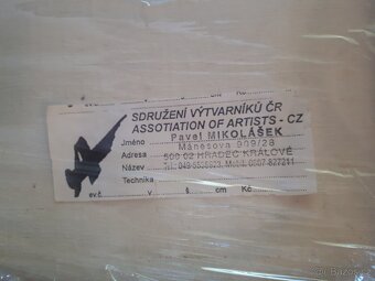 Obraz růže - Pavel Mikolášek - 2