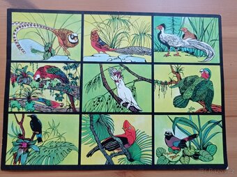 Retro hra Tierpark-Lotto DDR - 2