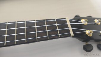 Mahalo Ukulele - 2