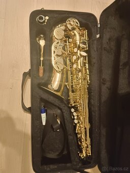 Saxofon Stewart Ellis - 2