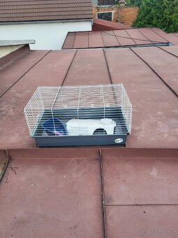 Klec pro hlodavce. - 2