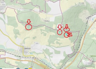 Prodám lesní pozemky v k.ú. Želenice u Mostu - 2