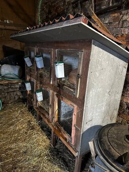 Králíkárna s králíky - 2