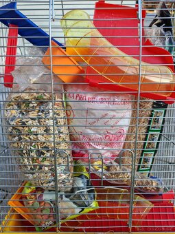 Kompletní vybavení pro křečka - 2