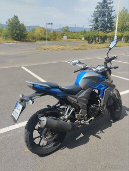 Senke leopard SK125 - 2