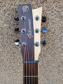 Akustická kytara Gilmour Antique W48 - 2