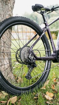 AMULET 29 eRival 5.0 SH, royal purple/white - 2