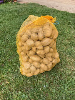 Prodám Brambory - 2