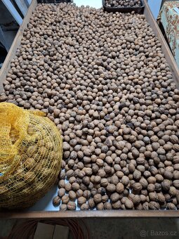 Vlašské ořechy neloupané - 2