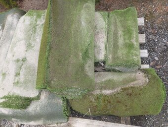 Umělá tráva, umělka - 2