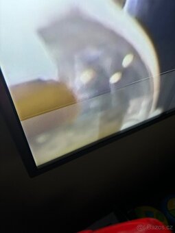 Lg tv - 2