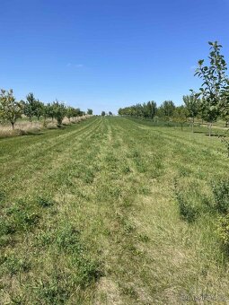 Prodám zatravněnou ornou půdu 2200m² - 2