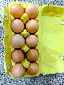 Domácí vejce - 2